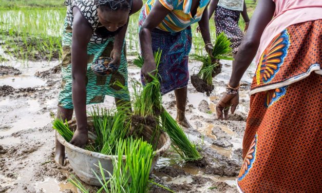 I cooperanti CISV appena rientrati dal Burkina Faso