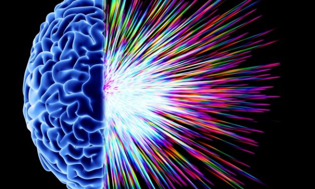 Torino capitale dell’intelligenza, per un giorno…