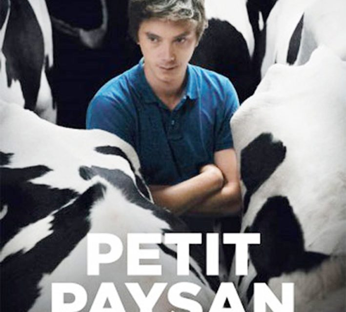 Petit paysan-Un eroe singolare