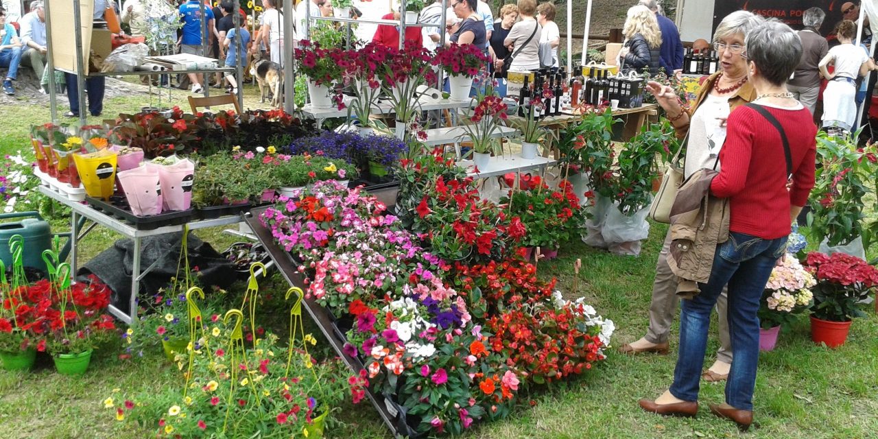 Carignano: le nozze d’argento della mostra mercato “Fiori e Vini”