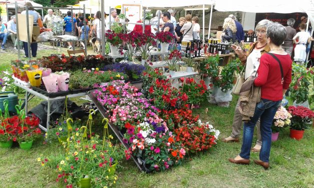 Carignano: le nozze d’argento della mostra mercato “Fiori e Vini”