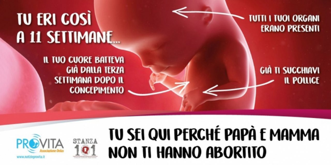 Aborto