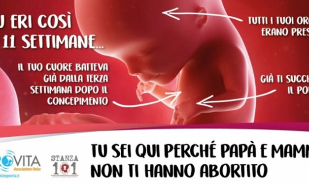 Aborto