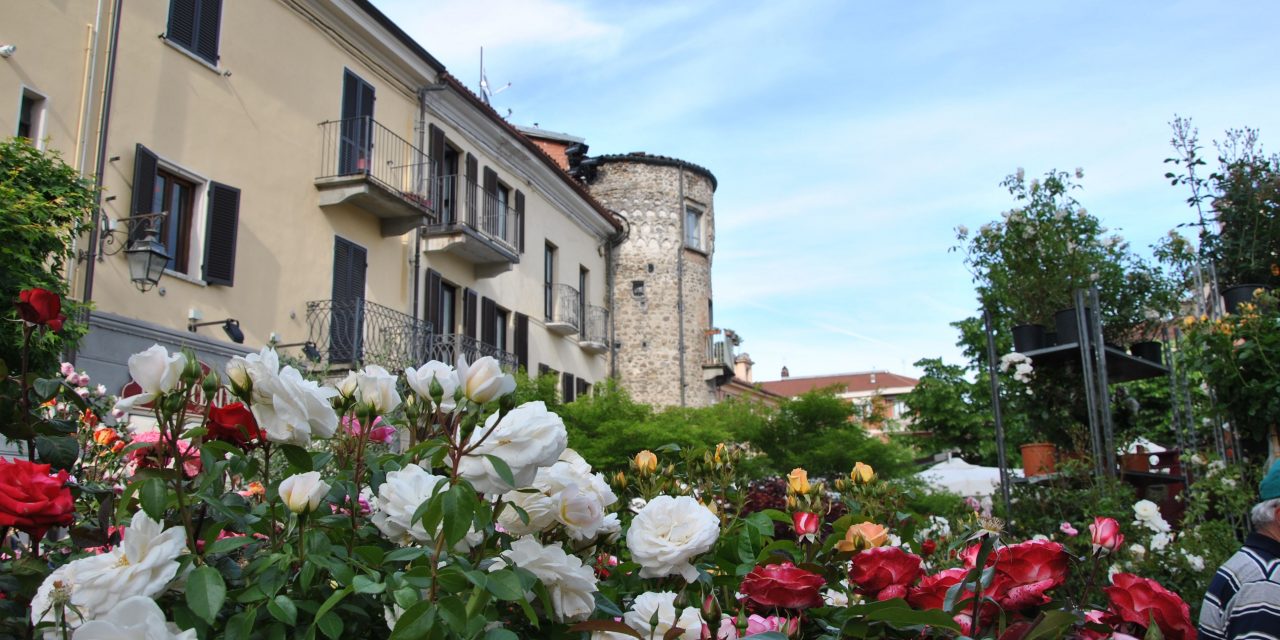 Maggionatura: fiori, cultura e ambiente