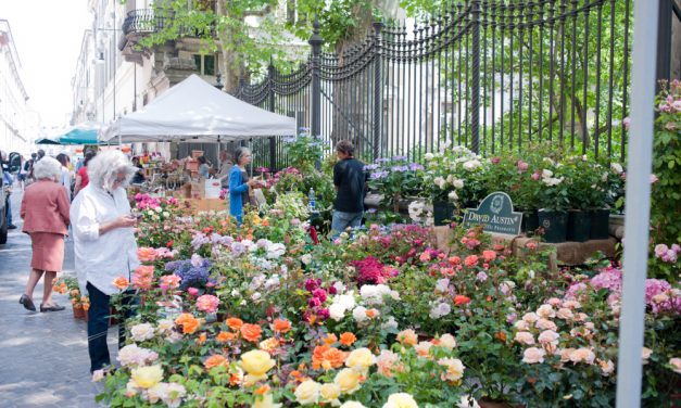 Flor2018: mostramercato nel cuore di Torino