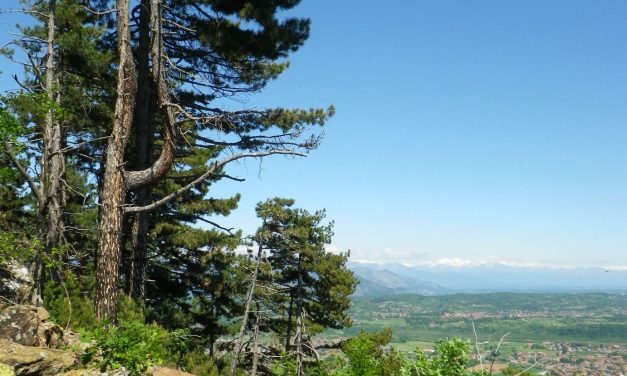 Cumiana e Piossasco: due settimane di festeggiamenti per il gemellaggio dei parchi