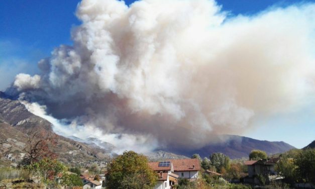 Dopo gli incendi, è ora di ‘Rigenerare la montagna’