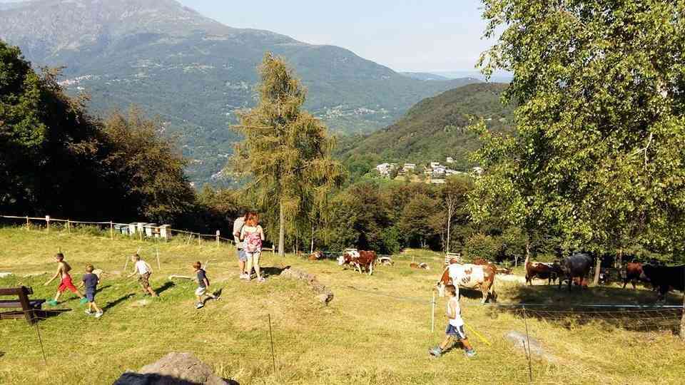 Appuntamenti di domenica 29 luglio