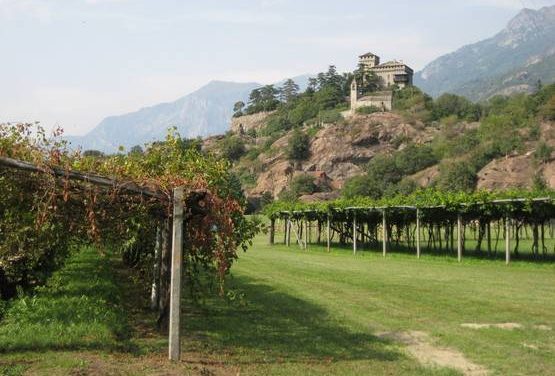 Appuntamenti di domenica 15 luglio