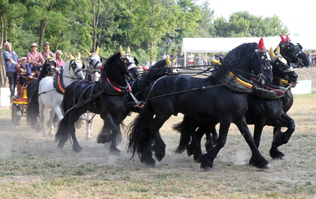 Festa e Fiera di San Savino: il programma