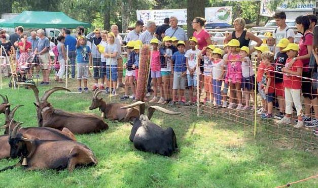 Chivasso : per il Beato Angelo tornano i fuochi