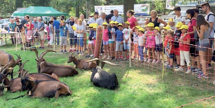 Chivasso : per il Beato Angelo tornano i fuochi