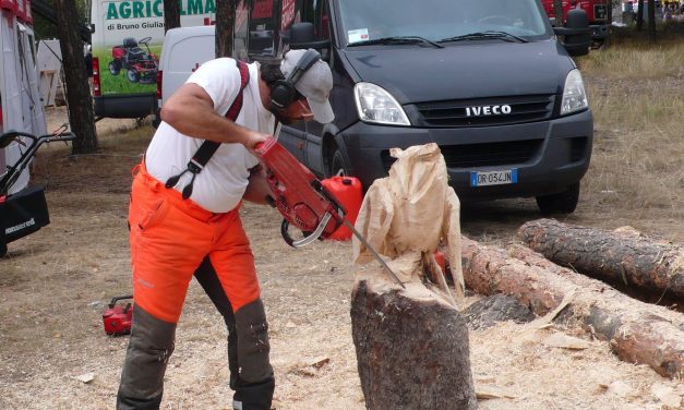 Boster-Bosco e territorio a Beaulard di Oulx