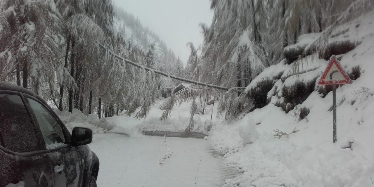 MALTEMPO: nevicate in quota e piccole frane nelle basse valli, ma la viabilità provinciale è sotto controllo
