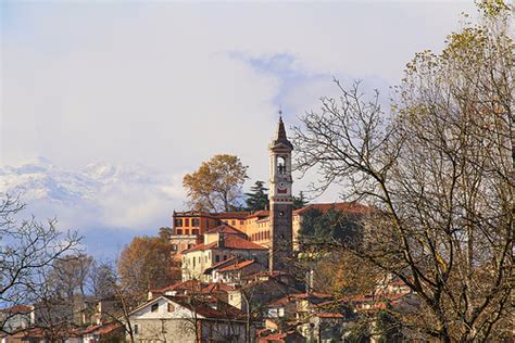 Azeglio, 3 mila nuovi alberi nei boschi in riva al lago per ridurre l’inquinamento