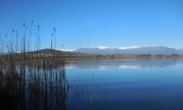 Appuntamenti del weekend