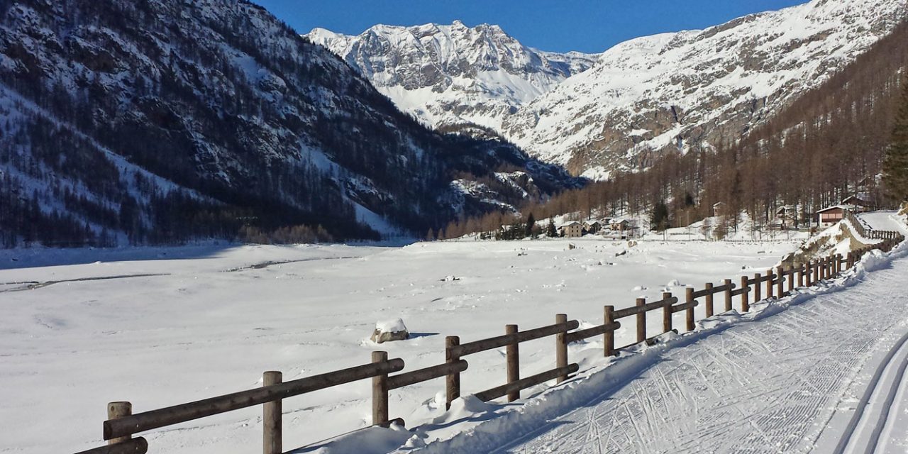 Appuntamenti di sabato 19 gennaio