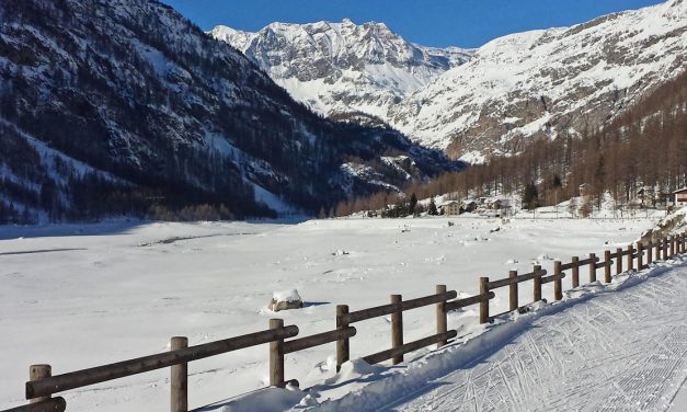 Appuntamenti di sabato 19 gennaio