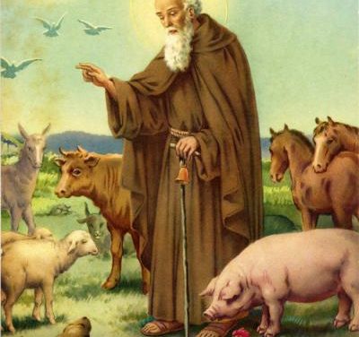 Sant’Antonio Abate (250 ca. – 356)