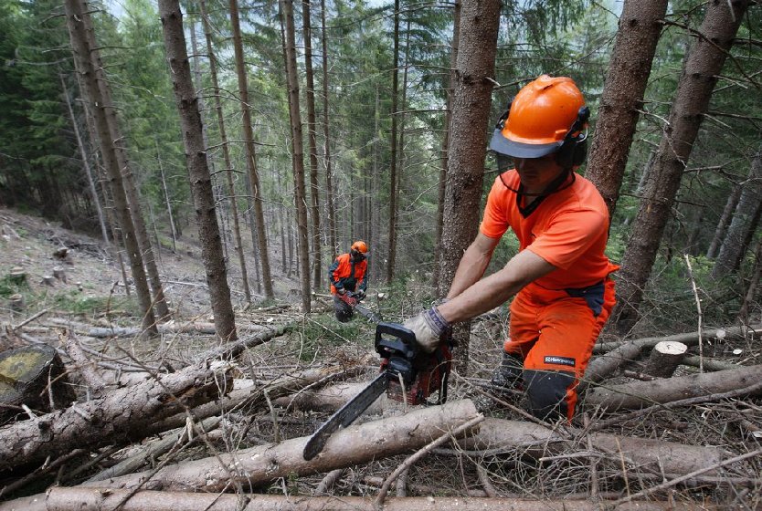 Firmato il contratto degli operai forestali
