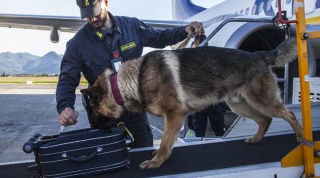 Dall’estero con troppo contante. Sequestrato denaro a imprenditore recidivo