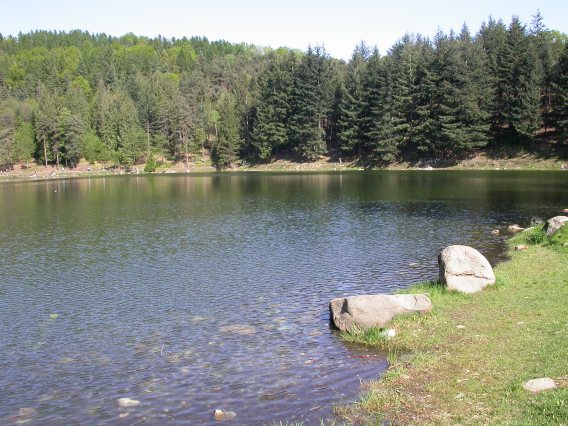 Sabato 29 giugno una giornata per scoprire le libellule al lago di Meugliano