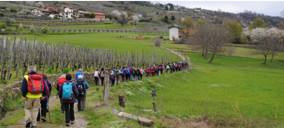 Appuntamenti di domenica 20 ottobre