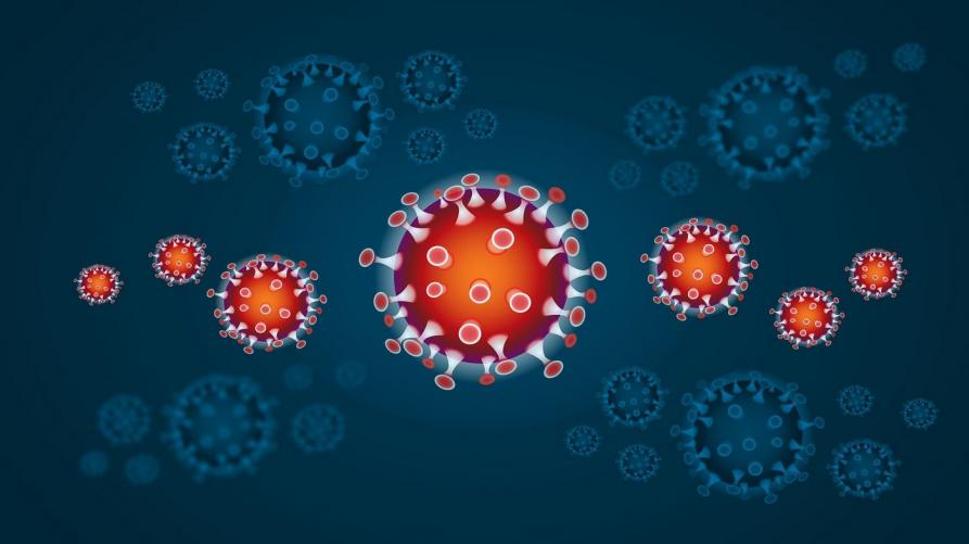 Il coronavirus oggi nella nostra Regione. Intanto parte il Piano di Assunzioni per l’Emergenza