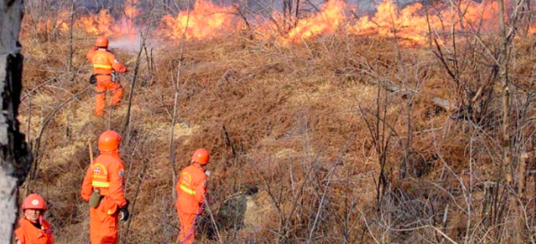 Su tutto il territorio scatta la massima allerta incendi