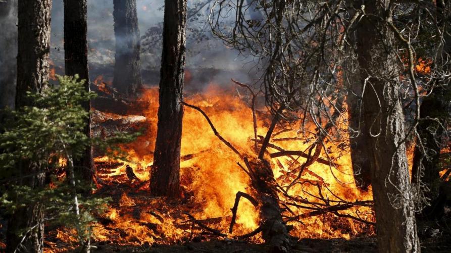 Stato di massima pericolosità incendi boschivi  su tutto il territorio del Piemonte da mercoledì  8 aprile 2020