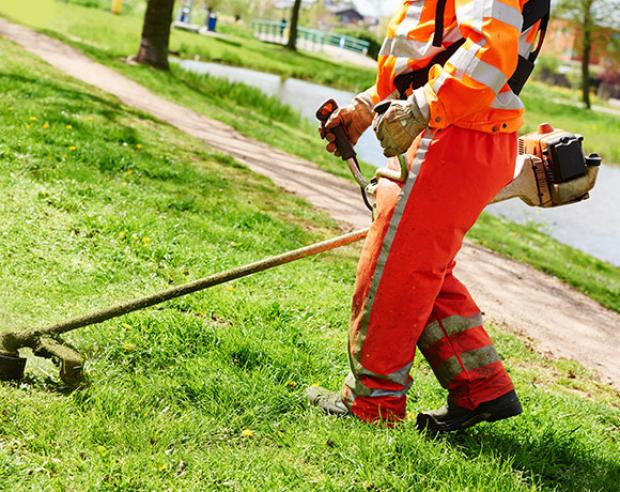 16 posti nei cantieri di lavoro per la manutenzione ambientale in 12 comuni del Canavese.