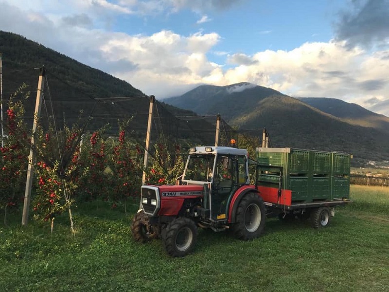 Agricoltura di montagna: al via il bando per le indennità compensative