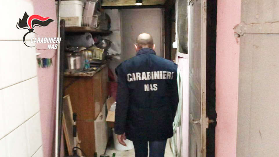 Carabinieri NAS: una tonnellata di carne in cattivo stato di conservazione, chiusa una macelleria nei pressi di Ivrea