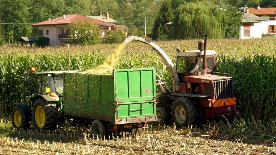 Agricoltura Piemonte: aperti i bandi del PSR su agroambiente e biologico