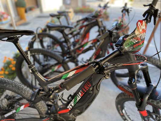 Ivrea cerca gestore noleggio e-bike