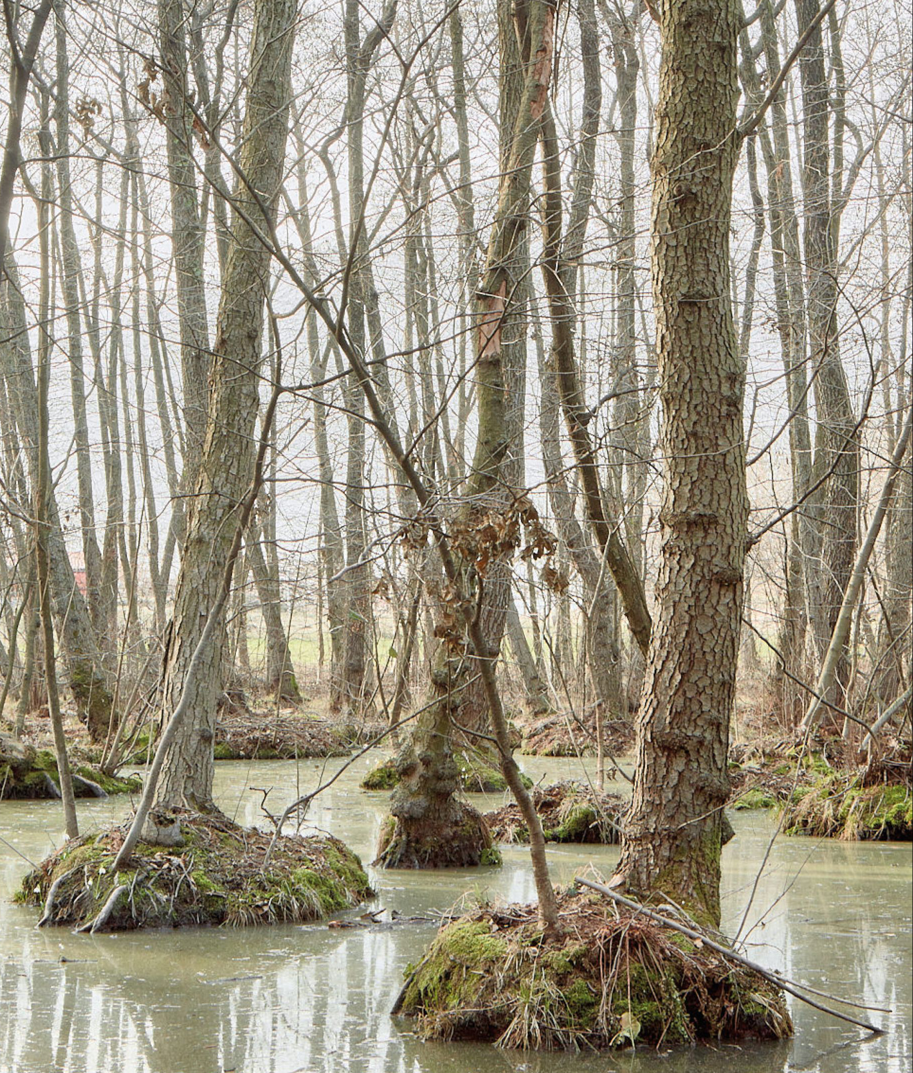 “Partecipa con una foto”: i cittadini raccontano per immagini i 5 laghi di Ivrea