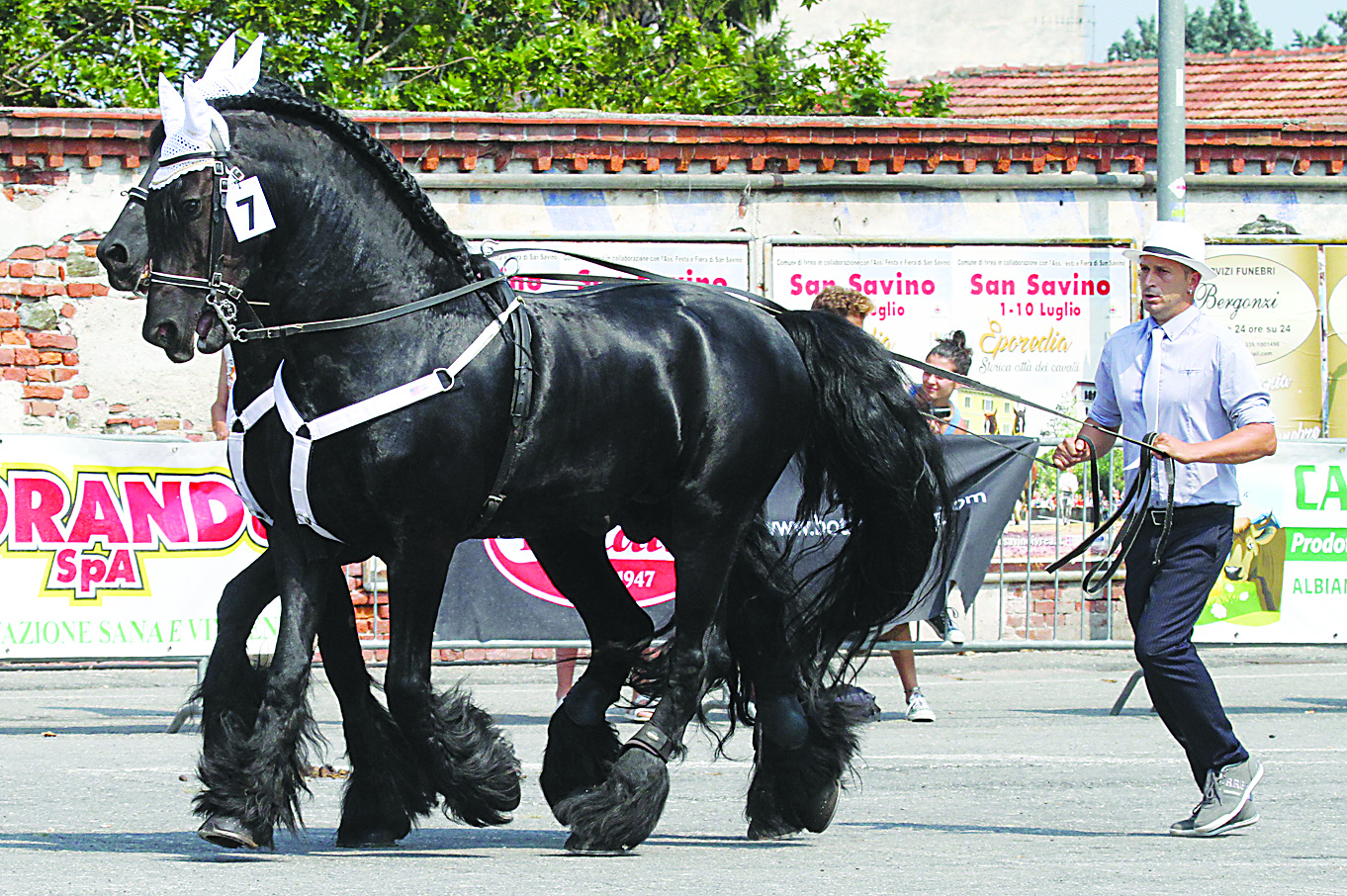 Appuntamenti del weekend in Canavese