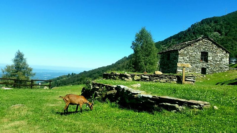 Gli appuntamenti del weekend in Canavese