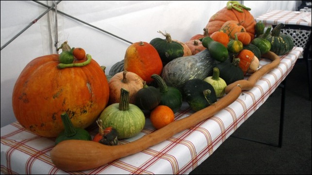 Appuntamenti del weekend in Canavese