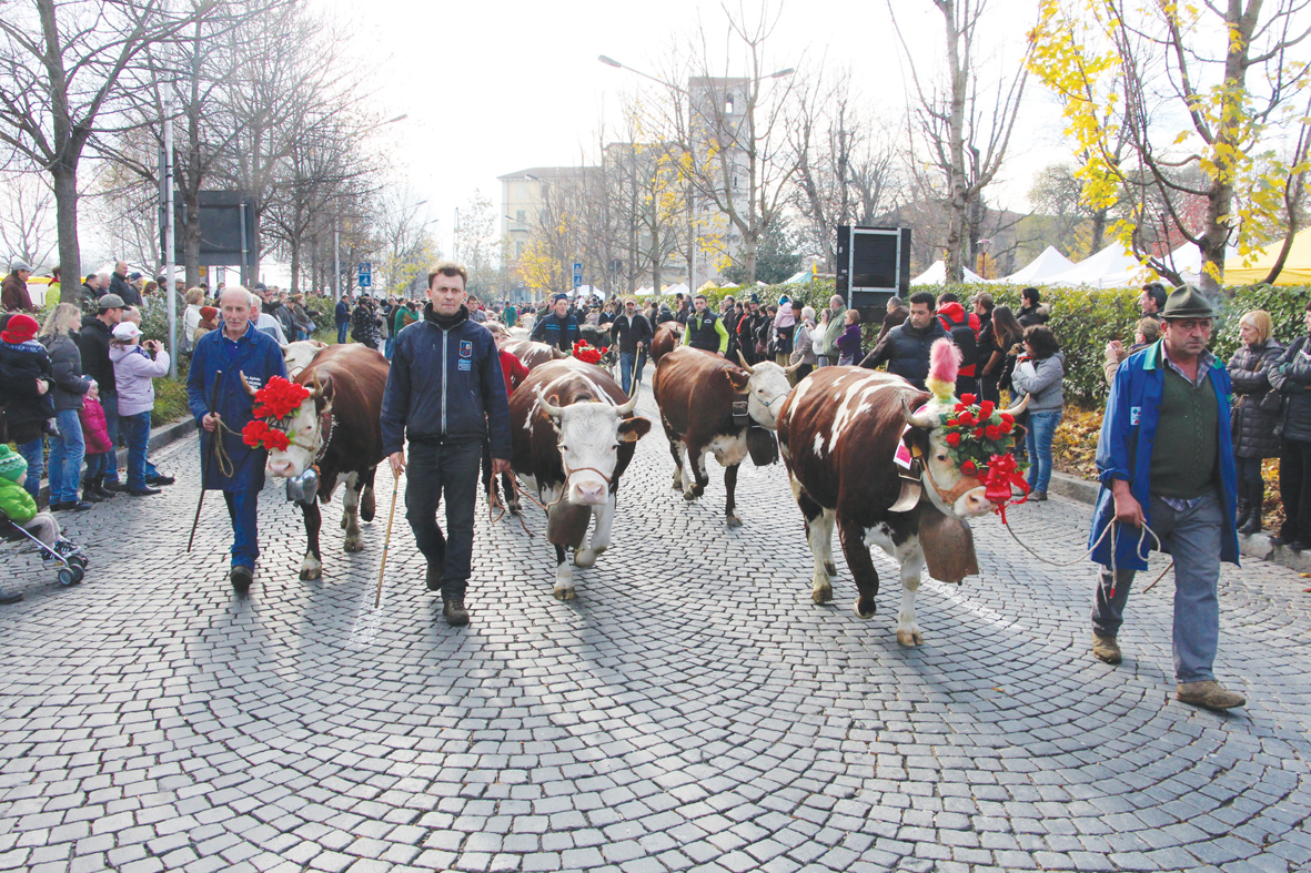 Appuntamenti del weekend in Canavese