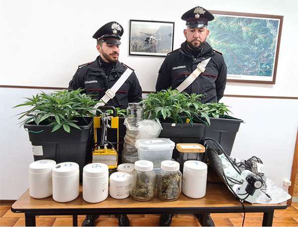 Baldissero: sequestrata dai Carabinieri coltivazione di marijuana