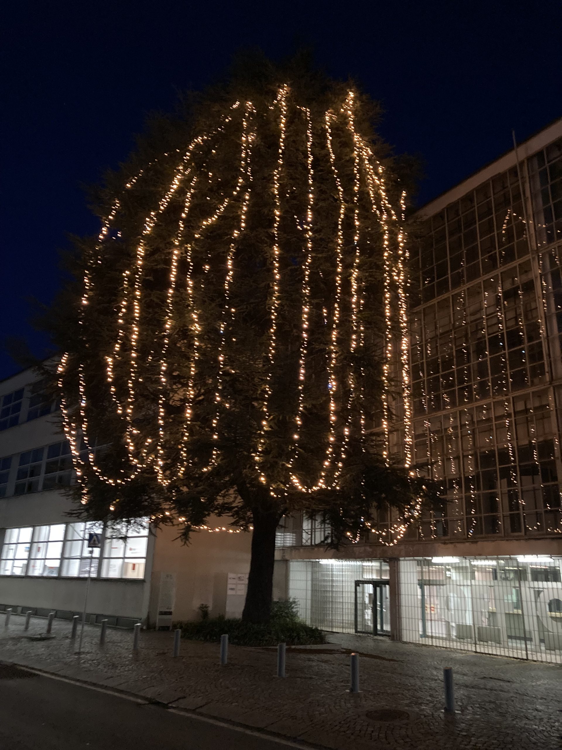 Ivrea. Festività natalizie: gli orari del Visitor’s Centre Unesco