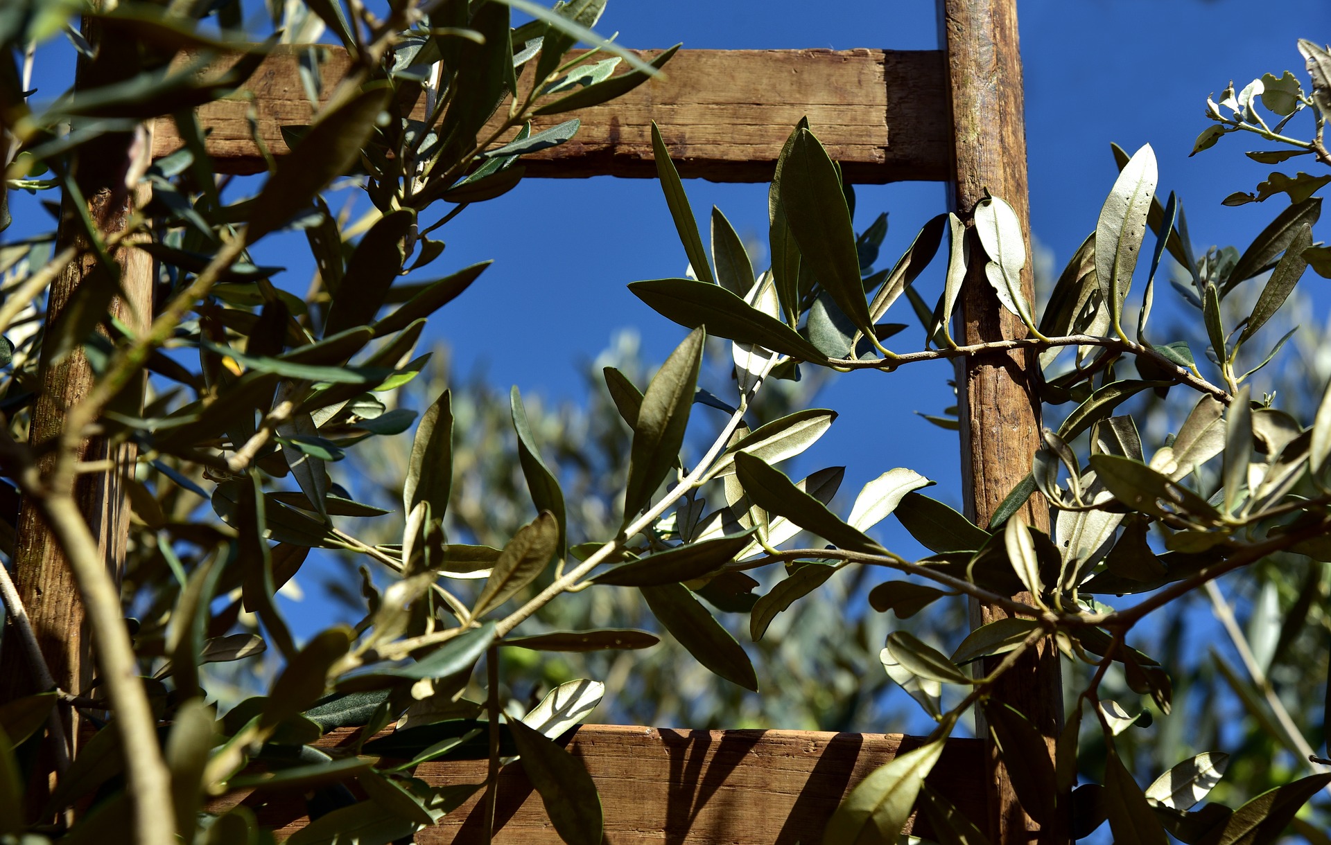 Commento al Vangelo di domenica 10 aprile