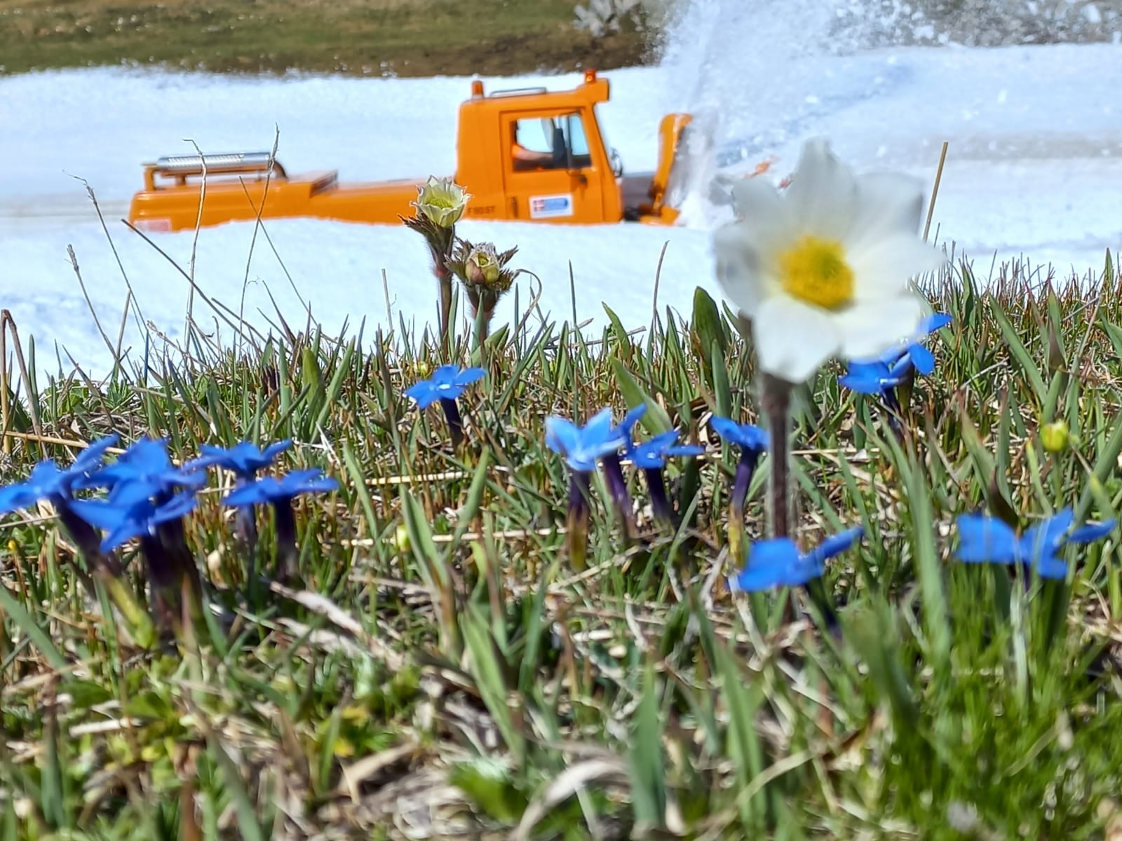 Da oggi, 27 maggio, riapertura totale per la Strada Provinciale 50 del Colle del Nivolet.