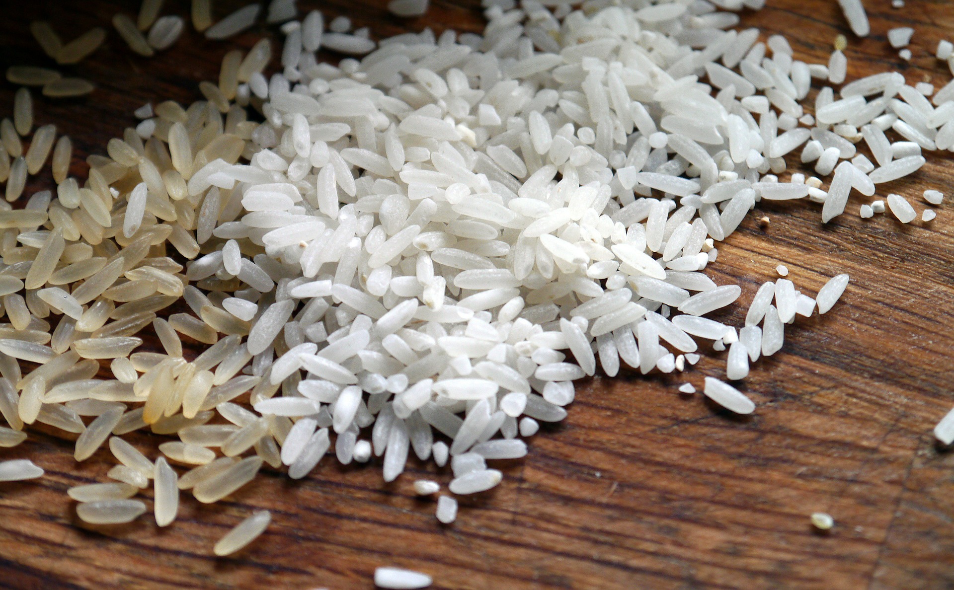 C’è il protocollo per la coltivazione del riso in Piemonte e Lombardia