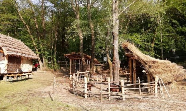 MONTALTO DORA – Aperto il Parco Archeologico del Lago Pistono