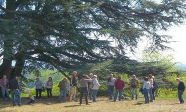 MONTALENGHE – Grazia Mirti al castello