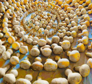 RIVOLI – Il “Mandala di zucche. Arte e Follia ” di Marcella Tisi