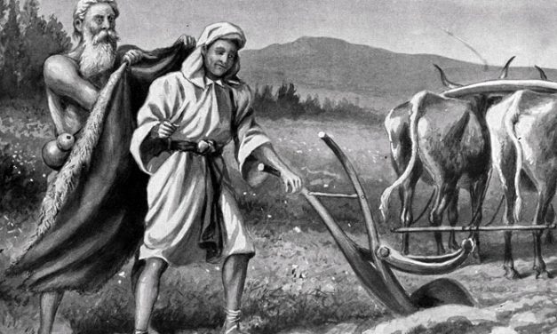 LA PAROLA DI DIO – Letture dalla Liturgia di Domenica 26 giugno 2022