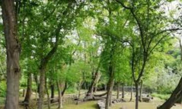 IVREA  – “Il profumo delle erbe” al Parco ex Lago di Città